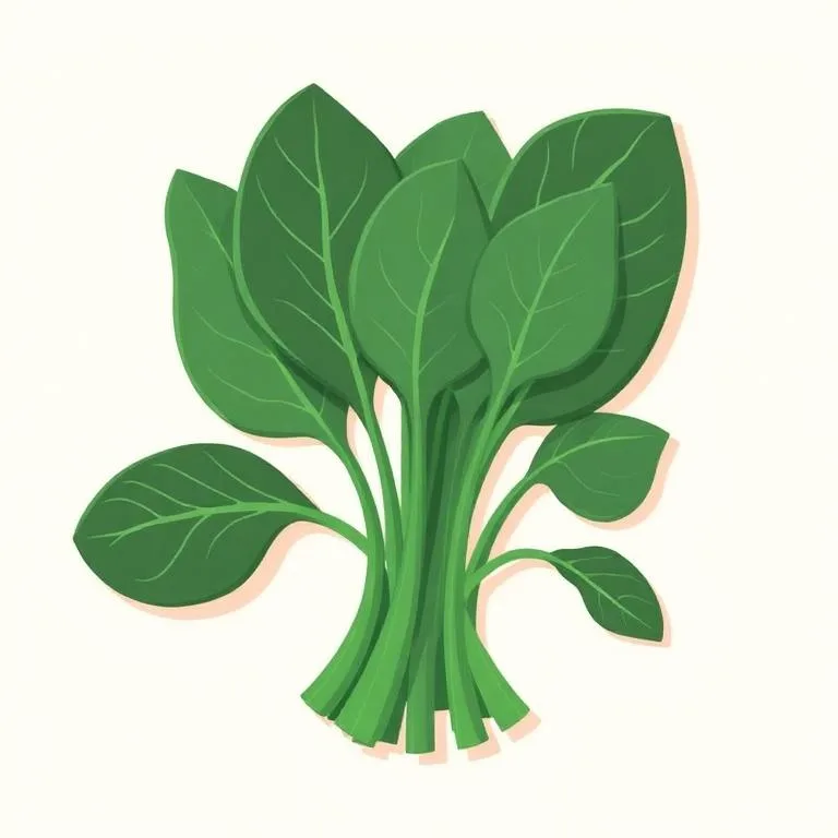 AB Seed — পালং শাক চাষ পদ্ধতি