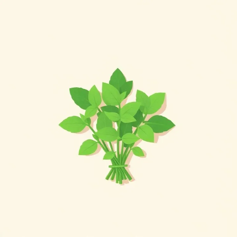 AB Seed — পুদিনা পাতা চাষ পদ্ধতি